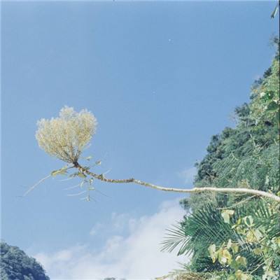 南宫28官网入口下载