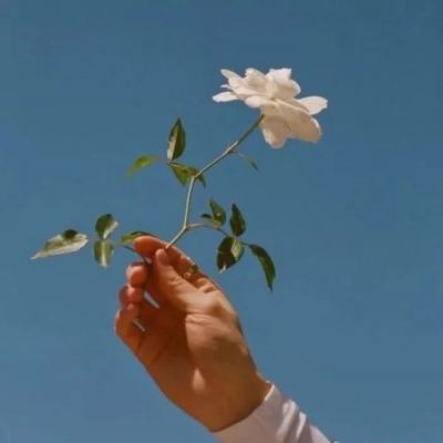 波胆app官网手机app下载