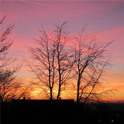 极速赛车信誉老平台截图