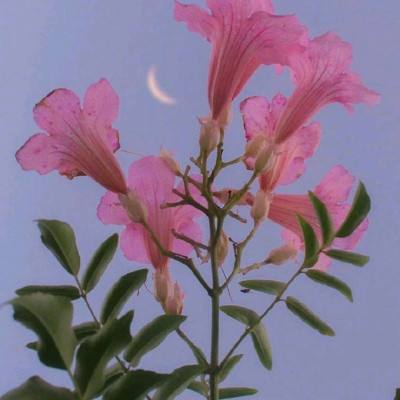 万博手机版max网页版(中国)官方网站下载手机版截图